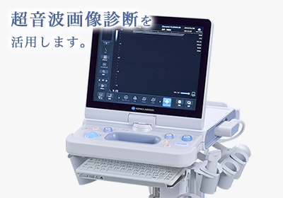 超音波画像診断を活用します。